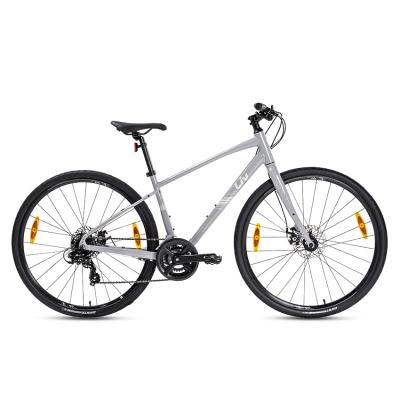 Xe Đạp Đường Phố Touring LIV Alight 3 DD Disc – Phanh Đĩa , Bánh 700C – 2024