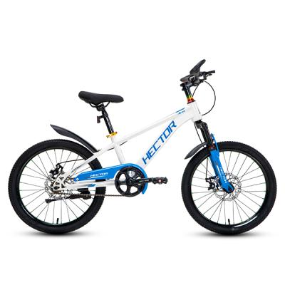 Xe Đạp Trẻ Em Youth HECTOR Ares 2 – Phanh Đĩa, Bánh 20 Inches