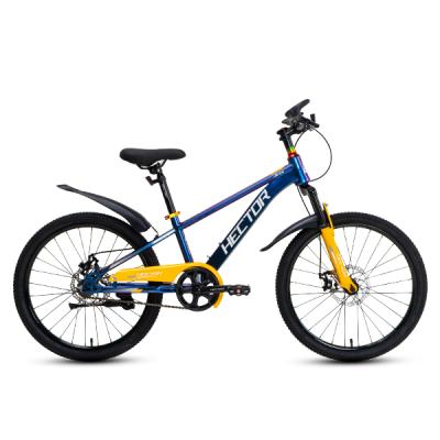 Xe Đạp Trẻ Em Youth HECTOR Ares 3 – Phanh Đĩa, Bánh 22 Inches