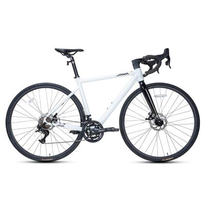 Xe Đạp Đường Trường Road JAVA Wahoo - Phanh Đĩa, Bánh 700C